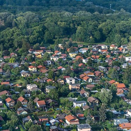 Apartment Over The Roofs Of Wina Bagian luar foto